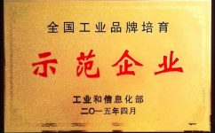 龙八 long8药业获“中国工业品牌造就示范企业”殊荣